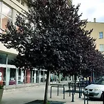 Lejlighed Narutowicza 8 Strict Centre Free Car Park Łódź